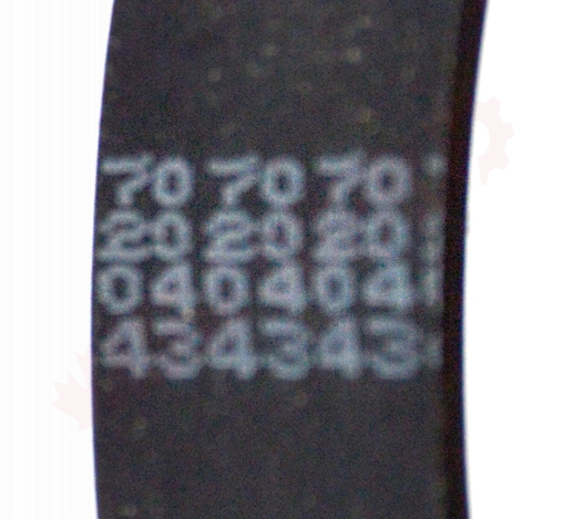 Photo 5 of DB21870 : Dustbane Targa Belt