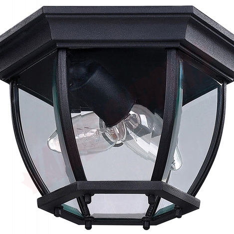 Photo 1 of IOL60BK : Canarm Outdoor Flush Mount Light, Black, Clear Glass, 2x60W