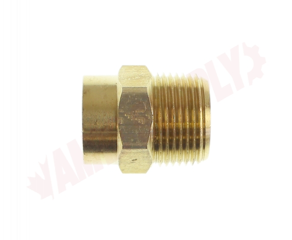 Photo 2 of 48SW-14E : Fairview 3/4 Brass C x Male PT Adapter