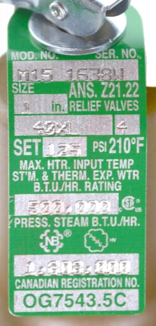 Photo 12 of 163781 : Watts 40XL Auto-Reseating Temperature & Pressure Relief Valve, 1, 125PSI