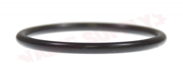 Photo 3 of P6000-C31 : Zurn Tailpiece O-Ring