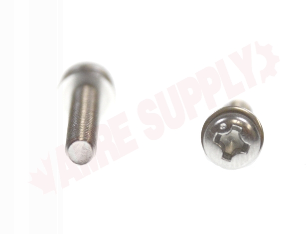 Photo 4 of TH559EDV301 : Toto Double Sems Screw (M3) Set, 3mm
