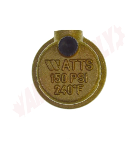 Photo 10 of 0590715 : Watts Auto Vent, 1/8 Male Connection, 150 PSI