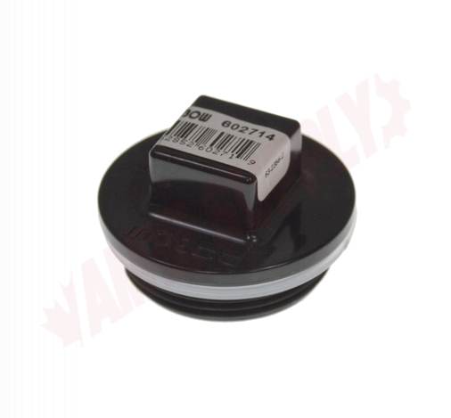 Photo 1 of 602714 : Bow 1-1/2 Male PT ABS Plug