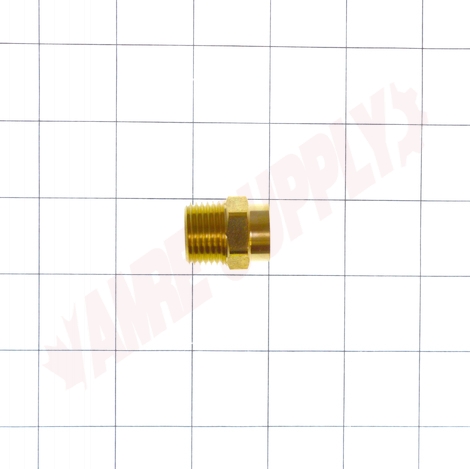 Photo 9 of 48SW-10D : Fairview 1/2 Brass C x Male PT Adapter