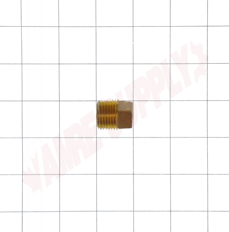 Photo 5 of 4498-003 : Aqua-Dynamic 1/2 Brass Solid Pipe Plug, Square Head