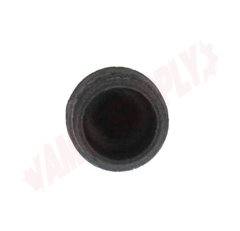 Photo 5 of 521-805HC : Aqua-Dynamic 1 Black Iron Plug