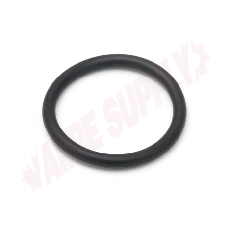 Photo 1 of 010389-45 : T&S Plunger O-Ring, for Waste Drain Valve