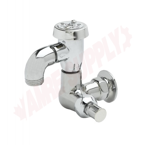 Photo 1 of B-0722 : T&S Sill Faucet, Wall Mount, Vacuum Breaker, 3/4 NPT Female Inlet, Garden Hose Outlet