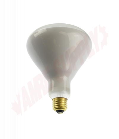 Photo 1 of 65BR40FL/ES : 65W BR40 Incandescent Flood Lamp, Clear