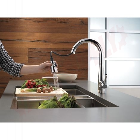 Photo 3 of 9113-DST : Delta Essa Single Handle Pull-Down Kitchen Faucet, Chrome