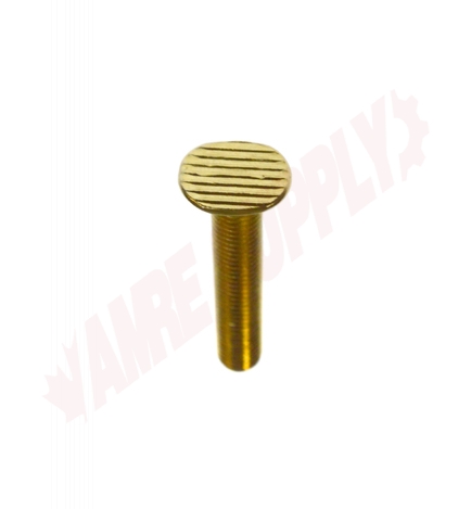 Photo 6 of PFC54A10 : ProFlo 5/16 x 2-1/4 Brass Plated Toilet Closet Bolts, 2/Pack 