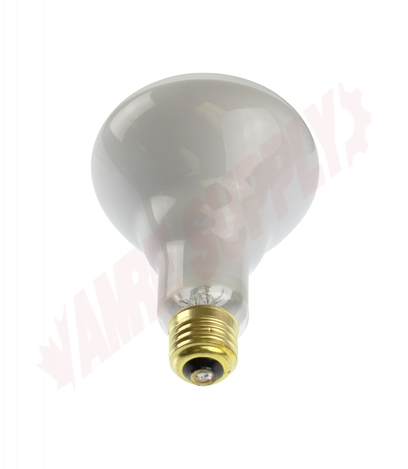 Photo 3 of 50077 : 65W BR30 Incandescent Light Bulb