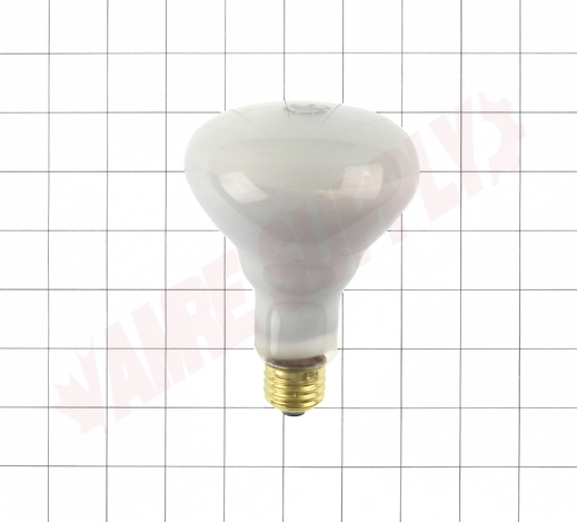 Photo 5 of 50077 : 65W BR30 Incandescent Light Bulb