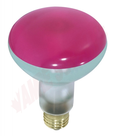 Photo 1 of 10139 : 75W BR30 Incandescent Lamp, Transparent Pink