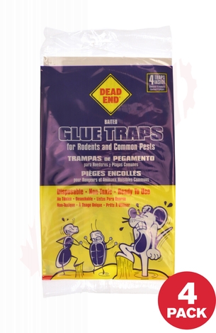 Dead End Glue Trap Bulk Case 24