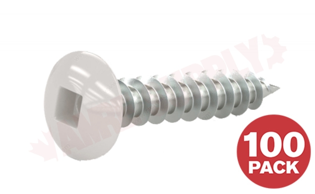 Photo 1 of TKAW81VP : Reliable Fasteners Door & Window Self Tapping Screw, White Truss Head, #8 x 1, 100/Pack