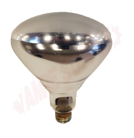 Photo 1 of 52044 : 250W Safety Max BR40 Incandescent Lamp, Infrared