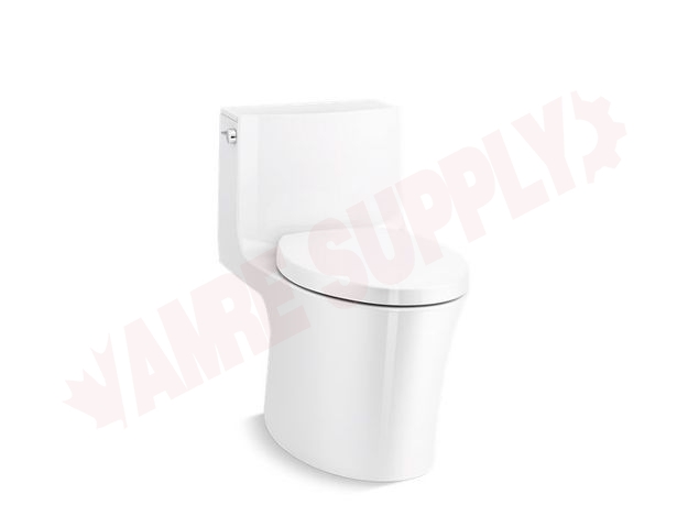 Photo 1 of 1381-0 : Veil® One-piece elongated dual-flush toilet with skirted trapway