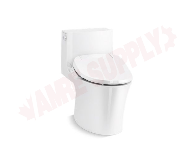 Photo 1 of 1381-HC-0 : Veil® One-piece elongated dual-flush toilet with skirted trapway and concealed cords