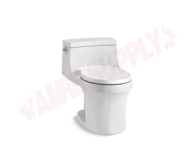 Photo 1 of 4007-0 : San Souci® One-piece round-front 1.28 gpf toilet with slow close seat
