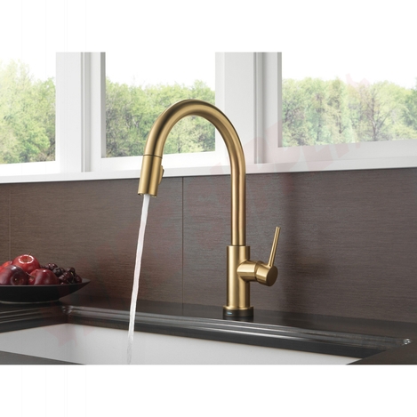 Photo 2 of 9159T-CZ-DST : Delta Trinsic Single Handle Pull-Down Kitchen Faucet with Touch2O Technology, Champagne Bronze
