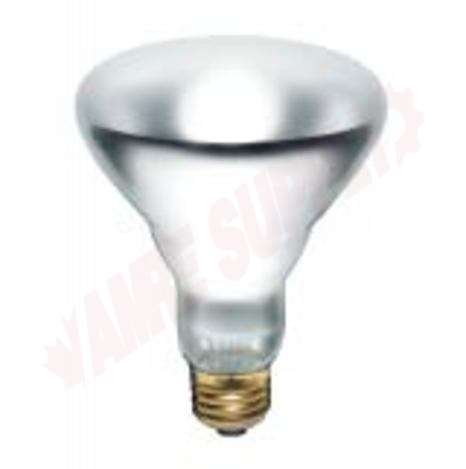 Photo 1 of 50079 : 65W E26 Incandescent Lamp, Clear