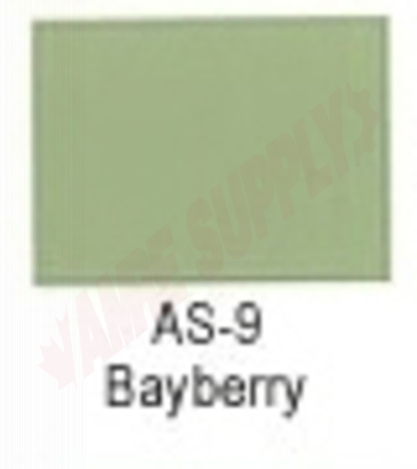 Photo 7 of AS-9 : Porc-a-fix American Standard Bayberry