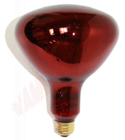 Photo 1 of 250R40/10 : 250W R40 Incandescent Infrared Flood Lamp, Red