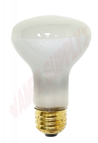 Photo 1 of 45R20/FL : 45W R20 Incandescent Flood Lamp, Frosted