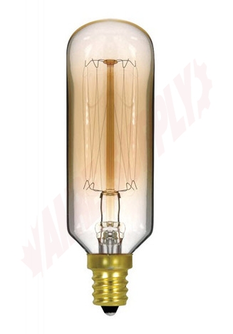 Photo 1 of S2420 : 40W T9 Vintage Incandescent Lamp, Clear